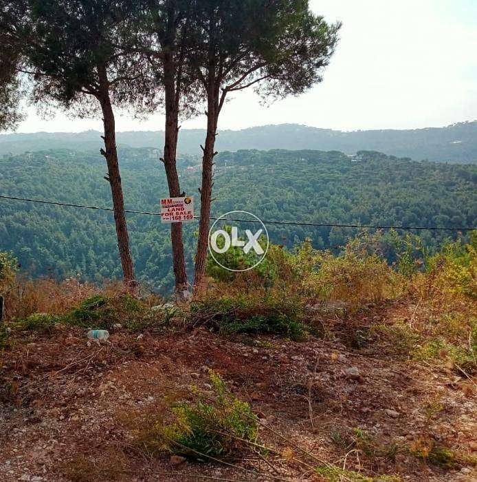 Land for sale in Al Oyoun ارض للبيع في العيون 1