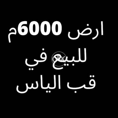 ارض6000