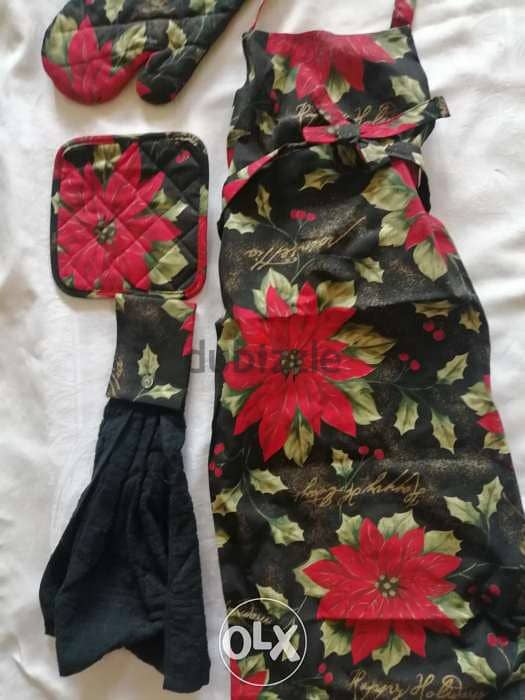 Christmas mittens and apron 1