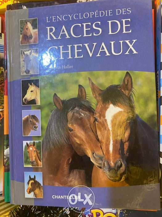 mon livre d’équitation , l’encyclopédie des races des chevaux 1