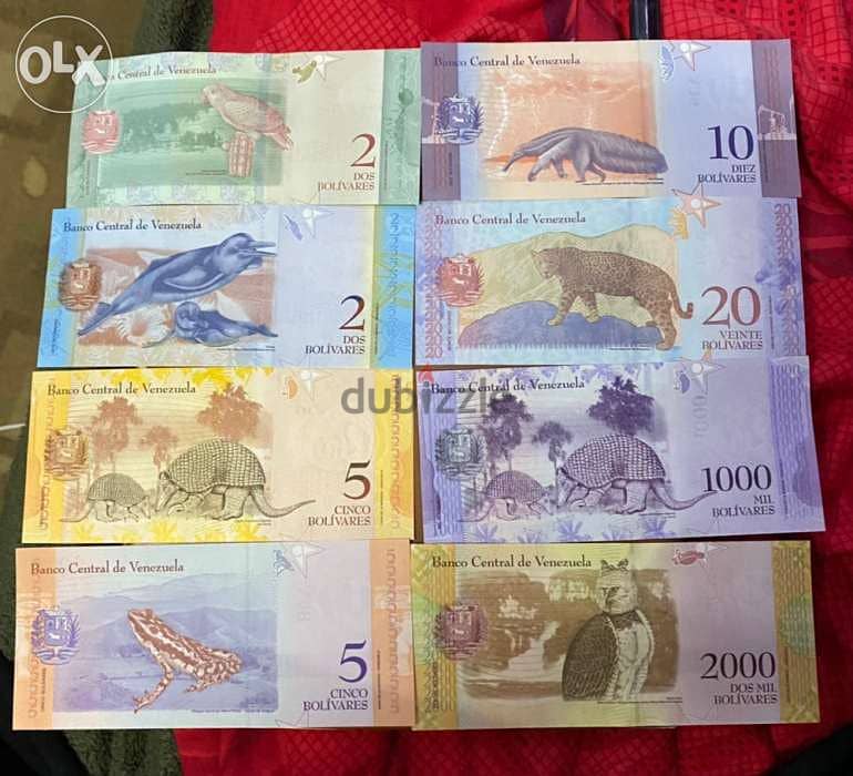 مجموعة عملة عملات فنزويلا انسر من اجمل العملات ٨ قطع 1