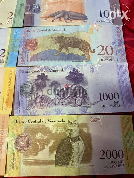 مجموعة عملة عملات فنزويلا انسر من اجمل العملات ٨ قطع 4