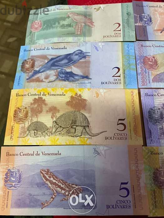 مجموعة عملة عملات فنزويلا انسر من اجمل العملات ٨ قطع 5