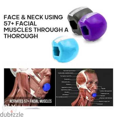 Face Masseter