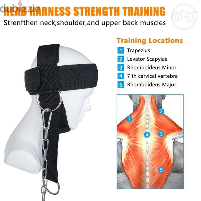 WeightLifting Head Harness 1
