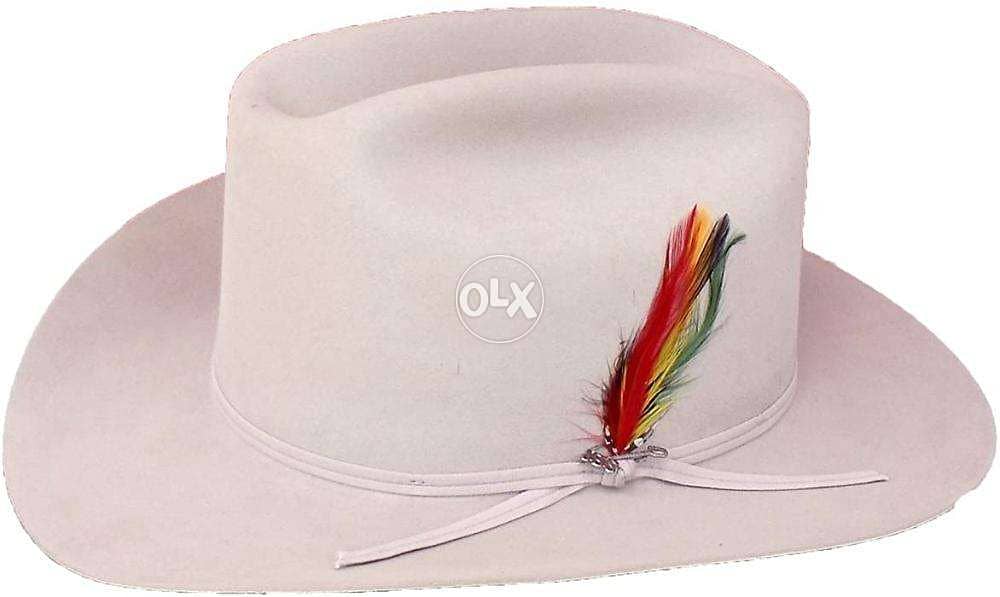 Stetson cowboy hat 2