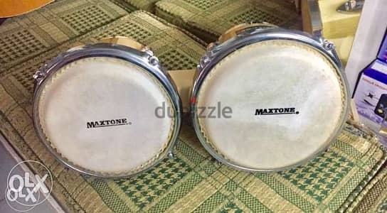 bongos Maxtone new بنكوز