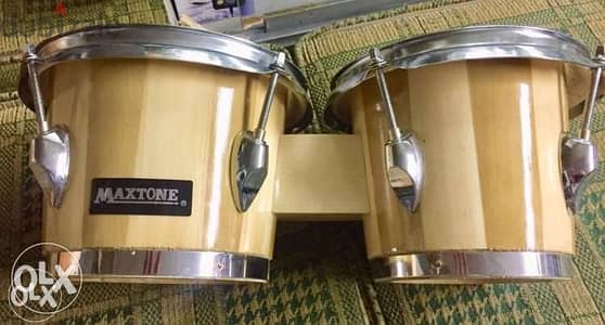 bongos Maxtone new بنكوز