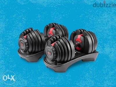 ADVG 24kg Adjustable Dumbbells Pair (48kg)