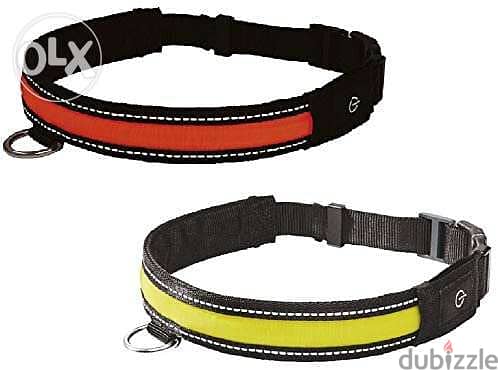 zoofari led light dog collar 1