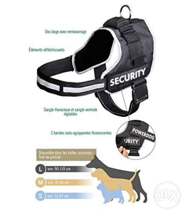 Zoofari® Dog Harness / 2$ delivery 2