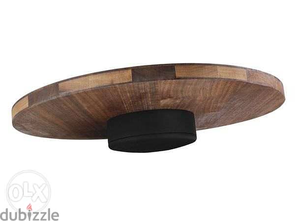Wooden Balance Board 1