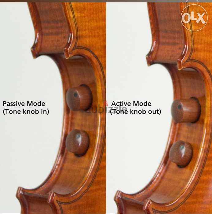 Acoustic-Electric Violin 1
