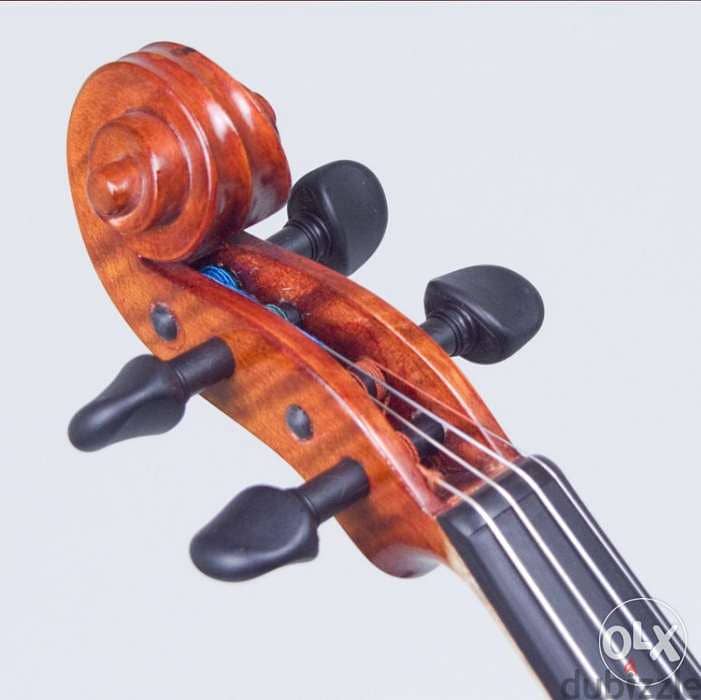 Acoustic-Electric Violin 2