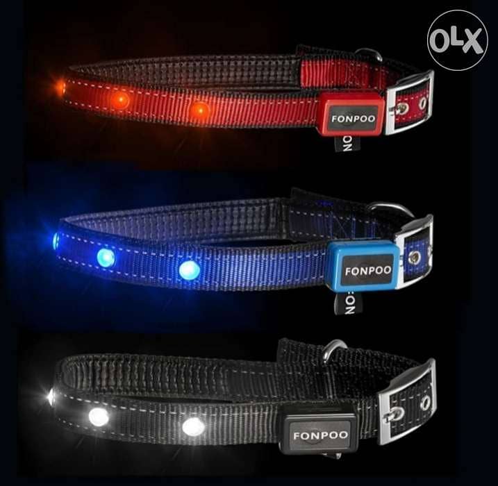 Fonpoo 8000 jewellery items Bottle LED Dog Collar/ $ Delivery 1