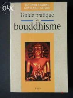guide pratique du bouddhisme book