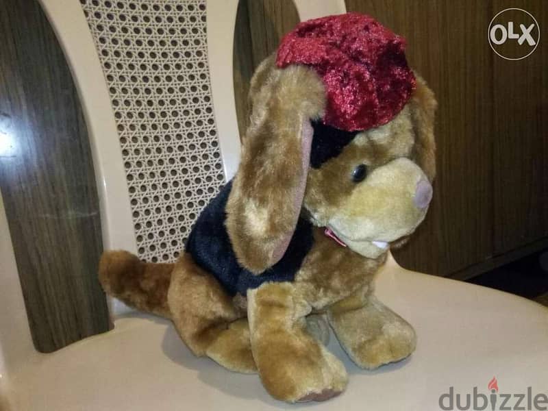 DOG LIGHT BROWN with hat large height 30Cm great cute as new plush=11$ 1