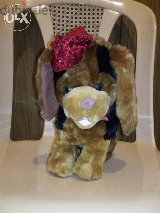 DOG LIGHT BROWN with hat large height 30Cm great cute as new plush=11$ 4