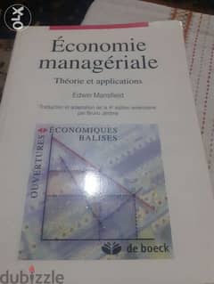 Economie manageriale