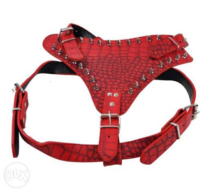 Leather Spiked Harness Collar 1