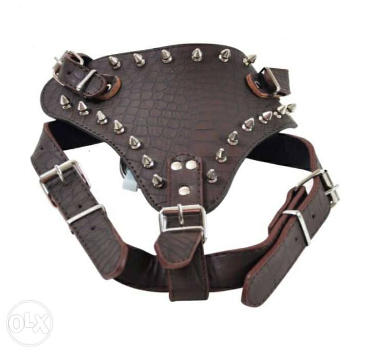 Leather Spiked Harness Collar 2