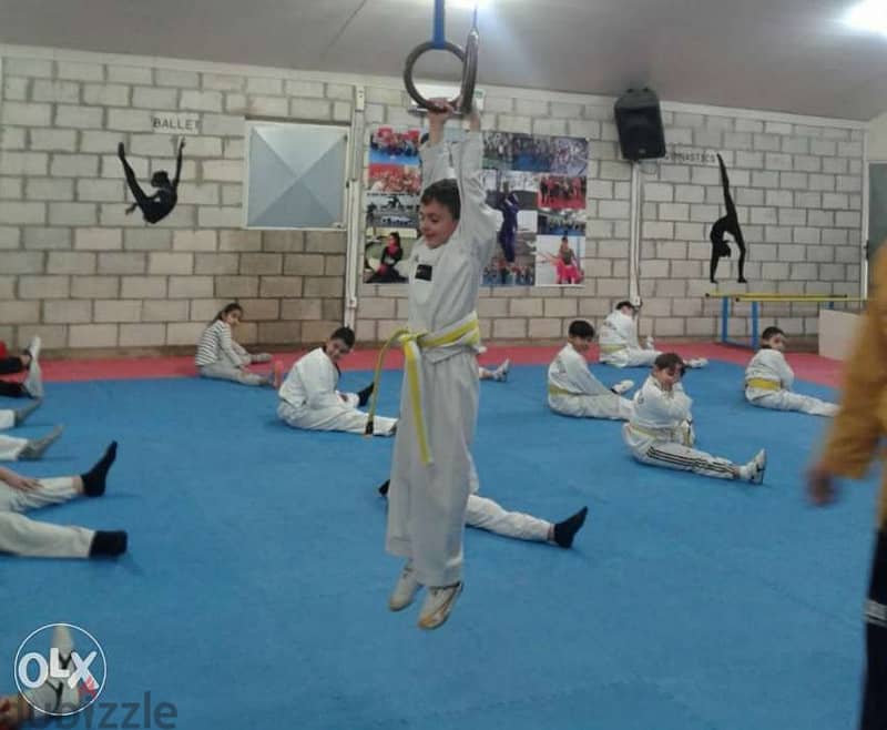 Taekwondo private classes 0