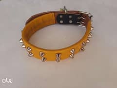 Dog Collar leather spiked