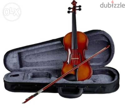 violin