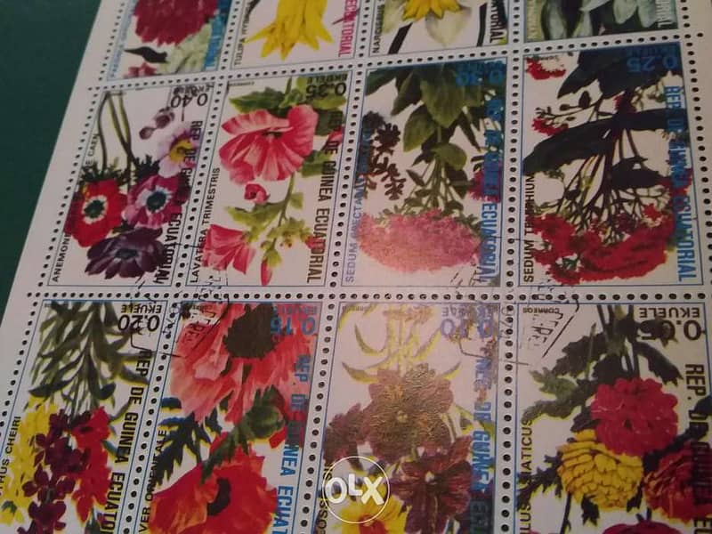 Equatorial flowers 16 different stamps block 3