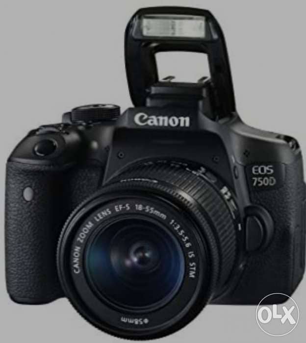 Canon EOS 750D 24.2MP Digital SLR Camera (Black) + 18-55 III Lens 2