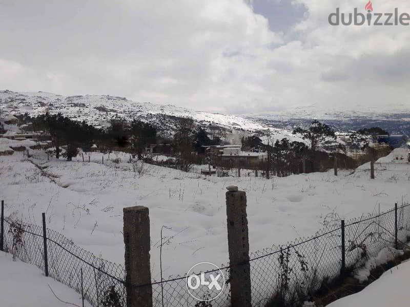 1600 SQM Land in Bolonia, Metn Overlooking the Mountains 4