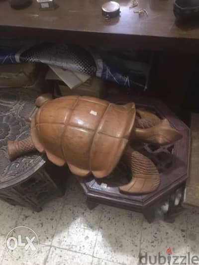 turtle all solid wood