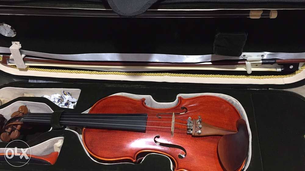 Violin For Sale (Made in Germany) 1