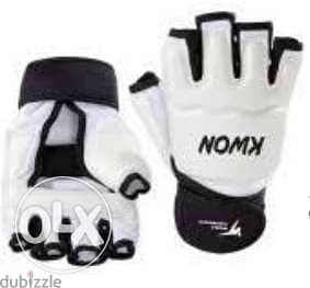 Taekwondo GLOVES (Kwon brand)