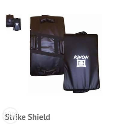 Damy (Taekwondo kicking shield kwon brand)