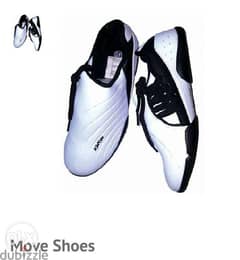 Move taekwondo shoes(kwon brand approved) 0