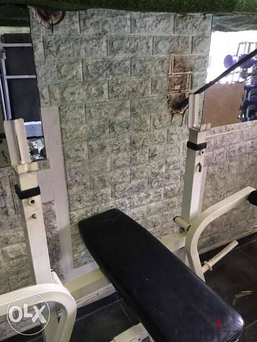 adjustable bench with cable and biceps and legs extention like new 2