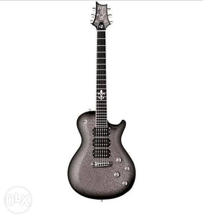 PRS Guitar SE ZMSS Zach Meyers