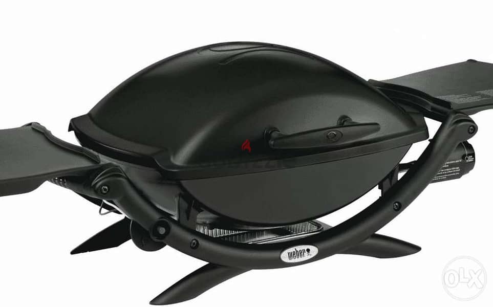 Outdoor Living  Grills & BBQ Accessories  Grills  Gas Grills  Pro 1