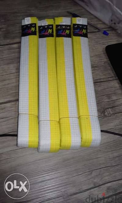 Taekwondo belt