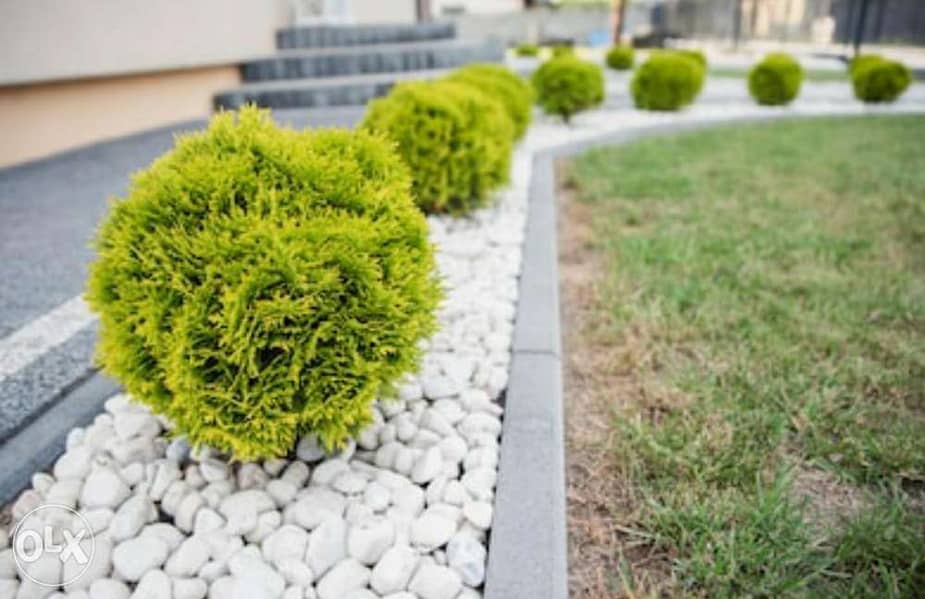 Decorative Pebbles for landscape بحص 1