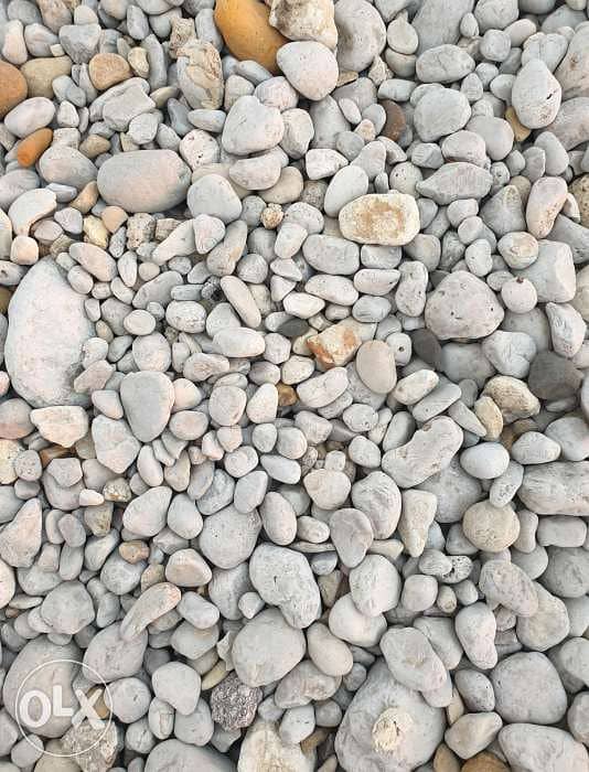 Decorative Pebbles for landscape بحص 3