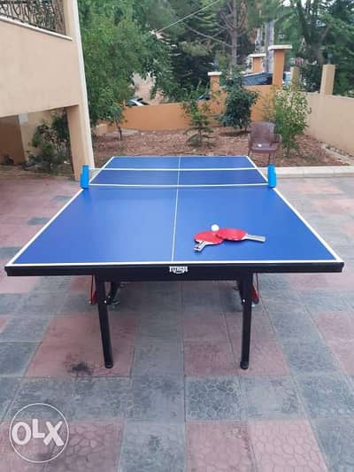 Ping pong table