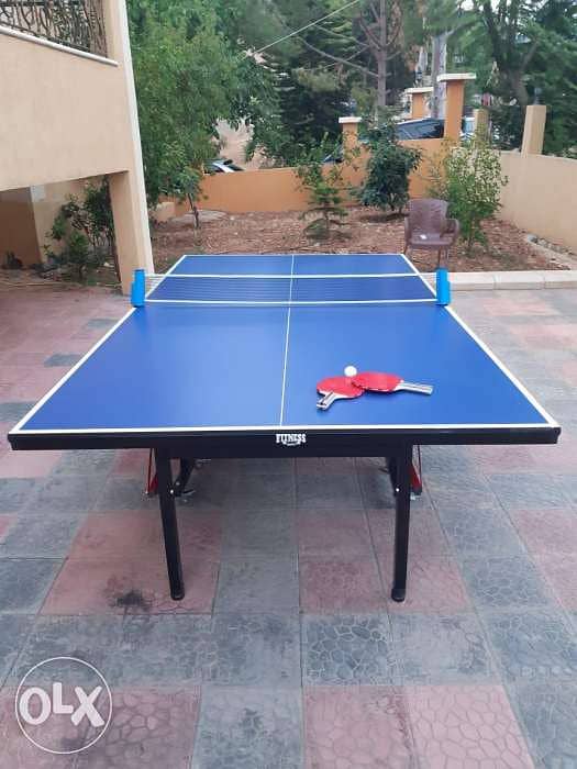 Ping pong table 0