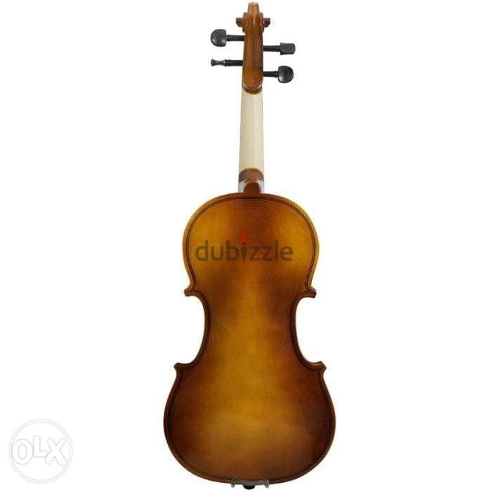 Professional Violin 4