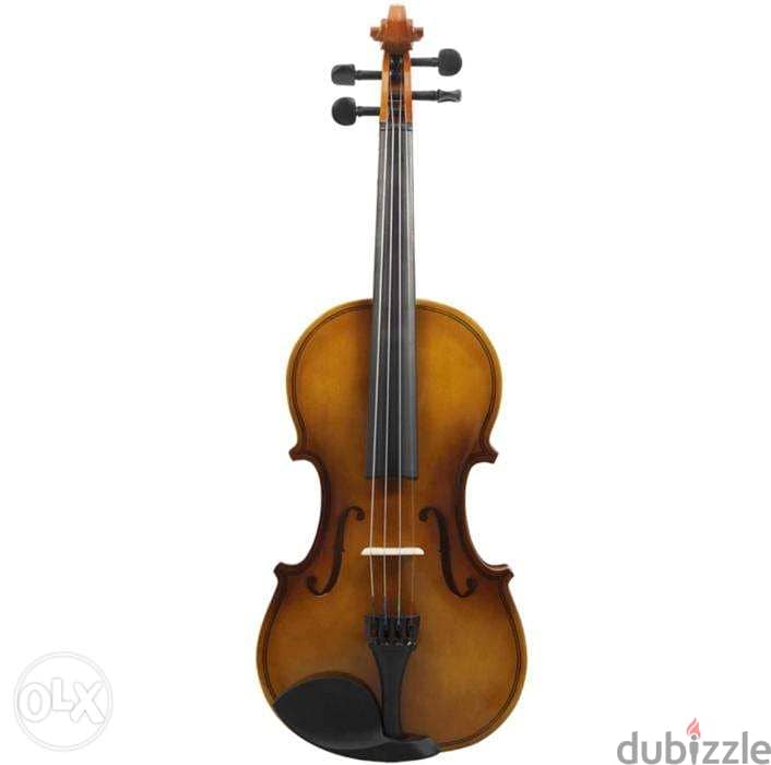 Professional Violin 3