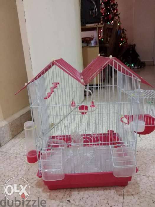 Cage for bird 0