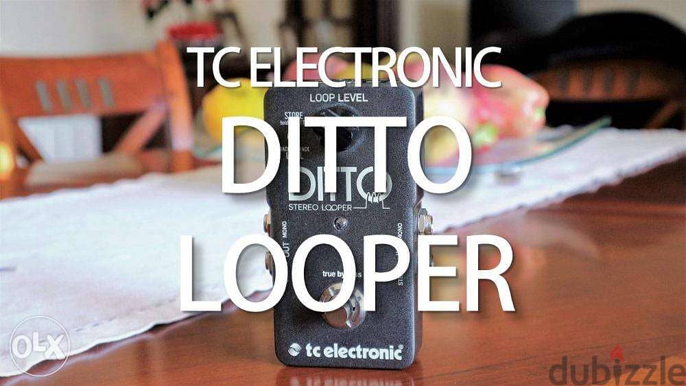 TC Electronic Ditto Looper Pedal,Compact looper pedal for guitar &Bass 1