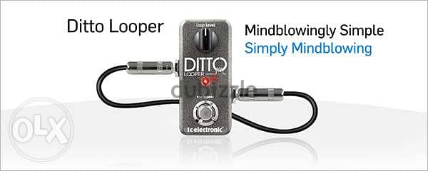 TC Electronic Ditto Looper Pedal,Compact looper pedal for guitar &Bass 2