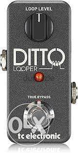 TC Electronic Ditto Looper Pedal,Compact looper pedal for guitar &Bass 3